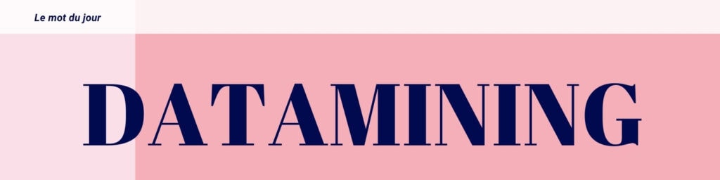 Le mot du jour 9 DATAMINING : le levier stratégique pour marques, enseignes et industriels.