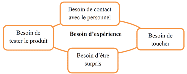 Traditionnellement, on a pris l’habitude de distinguer 4 besoins essentiels :
Le besoin de tester les produits, 
Le besoin de toucher, 
Le besoin d’être surpris,
Le besoin d’être en contact avec le personnel de vente. 