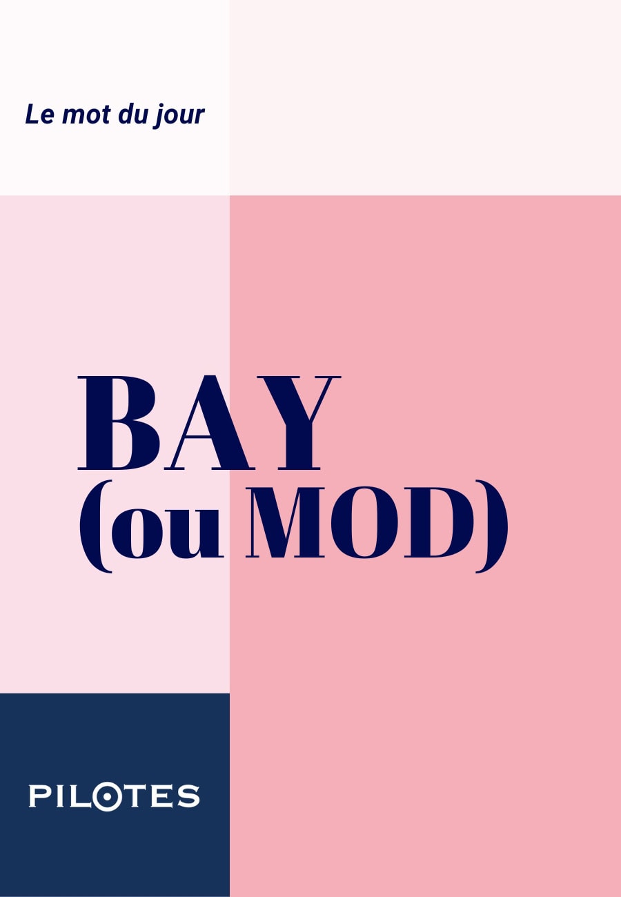 Le mot du jour Bay ou MOD l’art de structurer le linéaire en merchandising