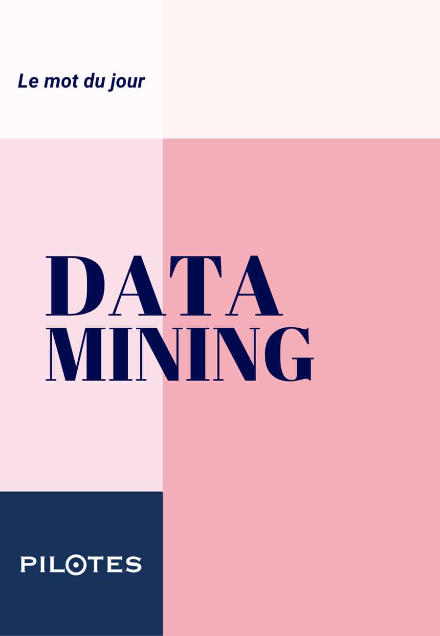 Le mot du jour 9 DATAMINING : le levier stratégique pour marques, enseignes et industriels.