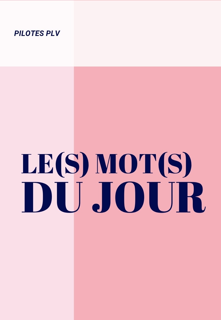 Le Mot du jour by PILOTES : tout le vocabulaire du merchandising